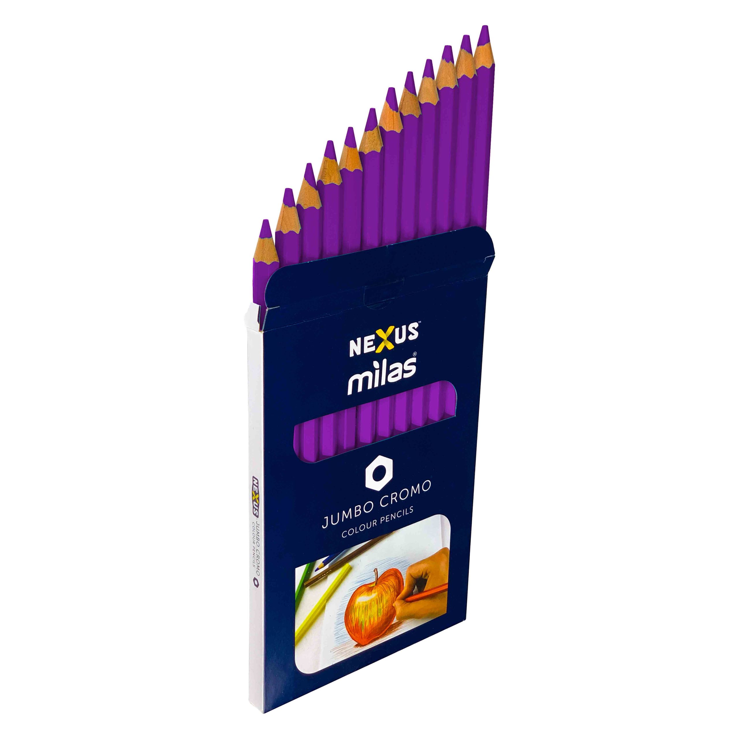 Nexus Jumbo Cromo-Colour Pencils Purple – 12 pcs