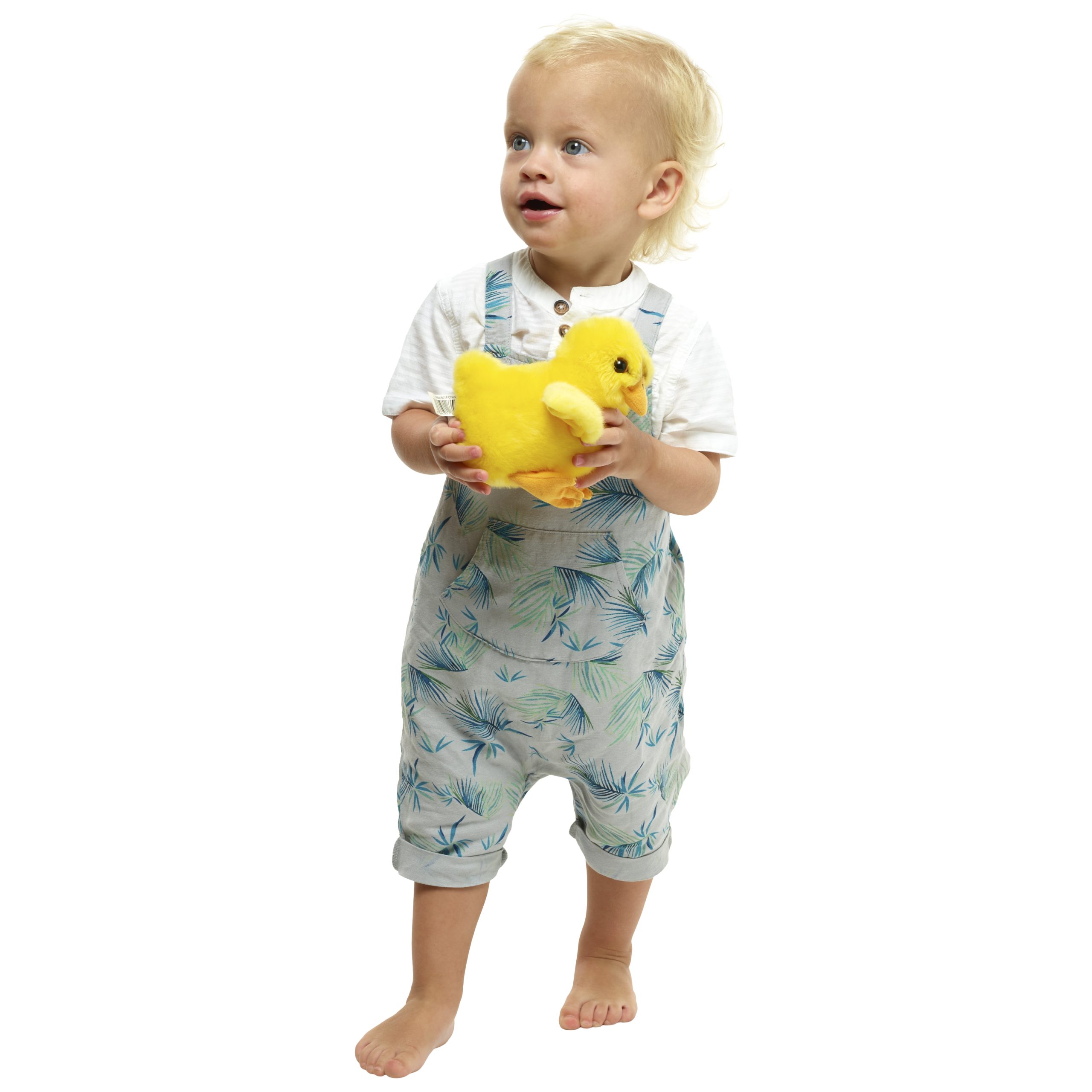 WB005014-Chick-With-Boy-Wilberry-Minis